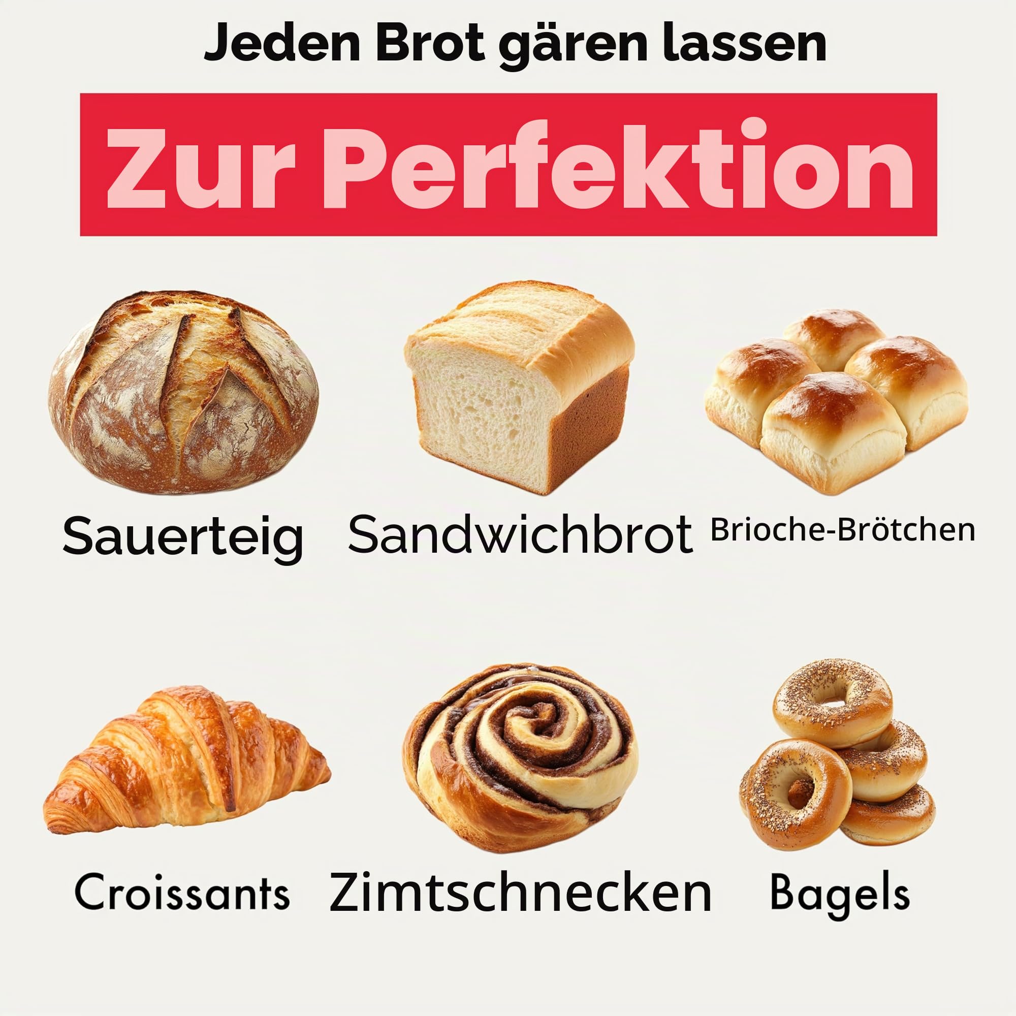 Brod and Taylor Regal-Set, Edelstahl Proofer and Slow Cooker weiß