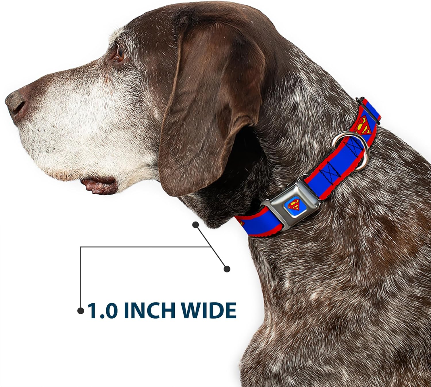 Buckle-Down Seatbelt Buckle Dog Collar - Superman Shield/Stripe Red/Blue - 1" Wide - Fits 15-26" Neck - Large