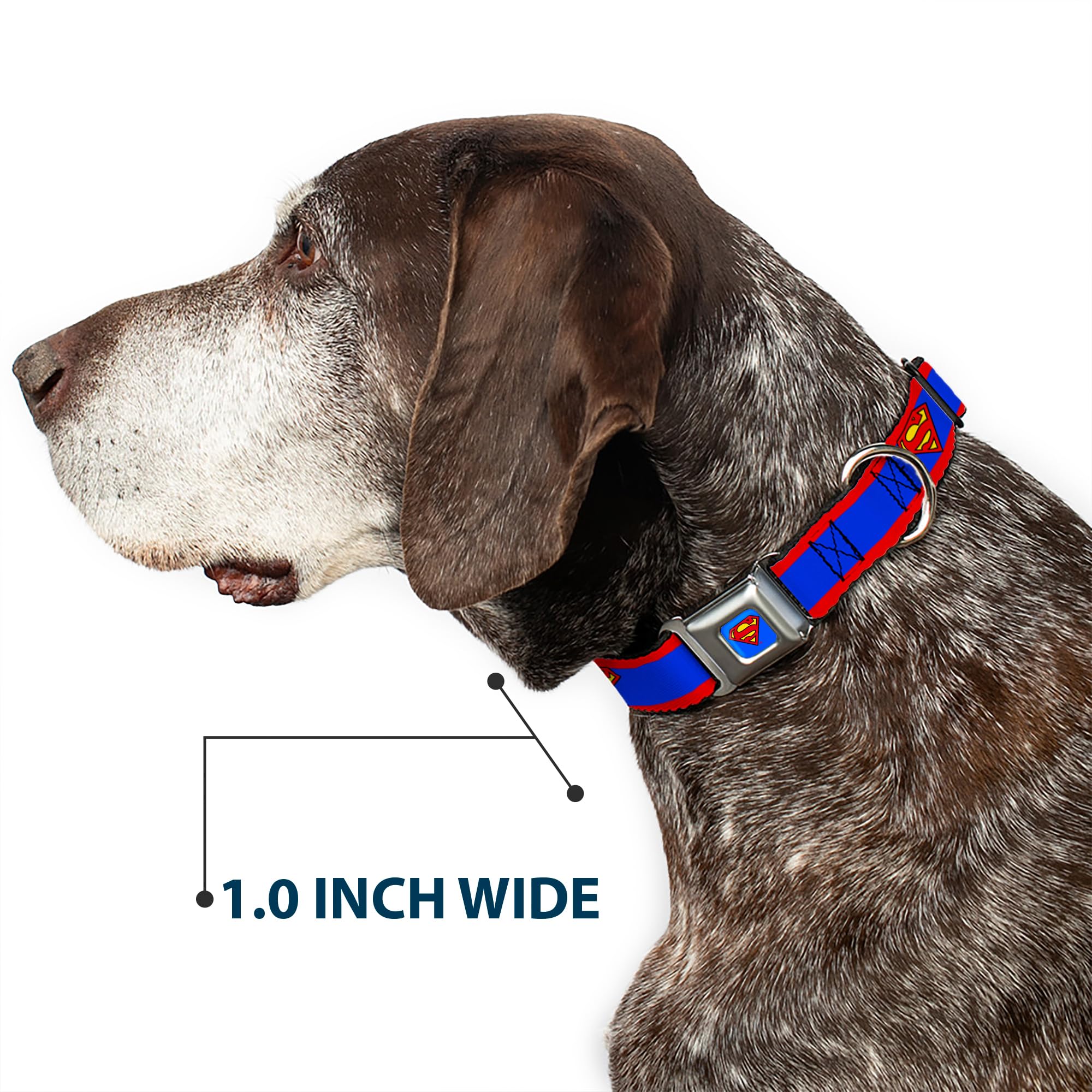 Amazon.co.jp: 犬用首輪 シートベルトバックル スーパーマン シールド