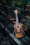 Cordoba 15CB Bocote Concert 4-String Ukulele