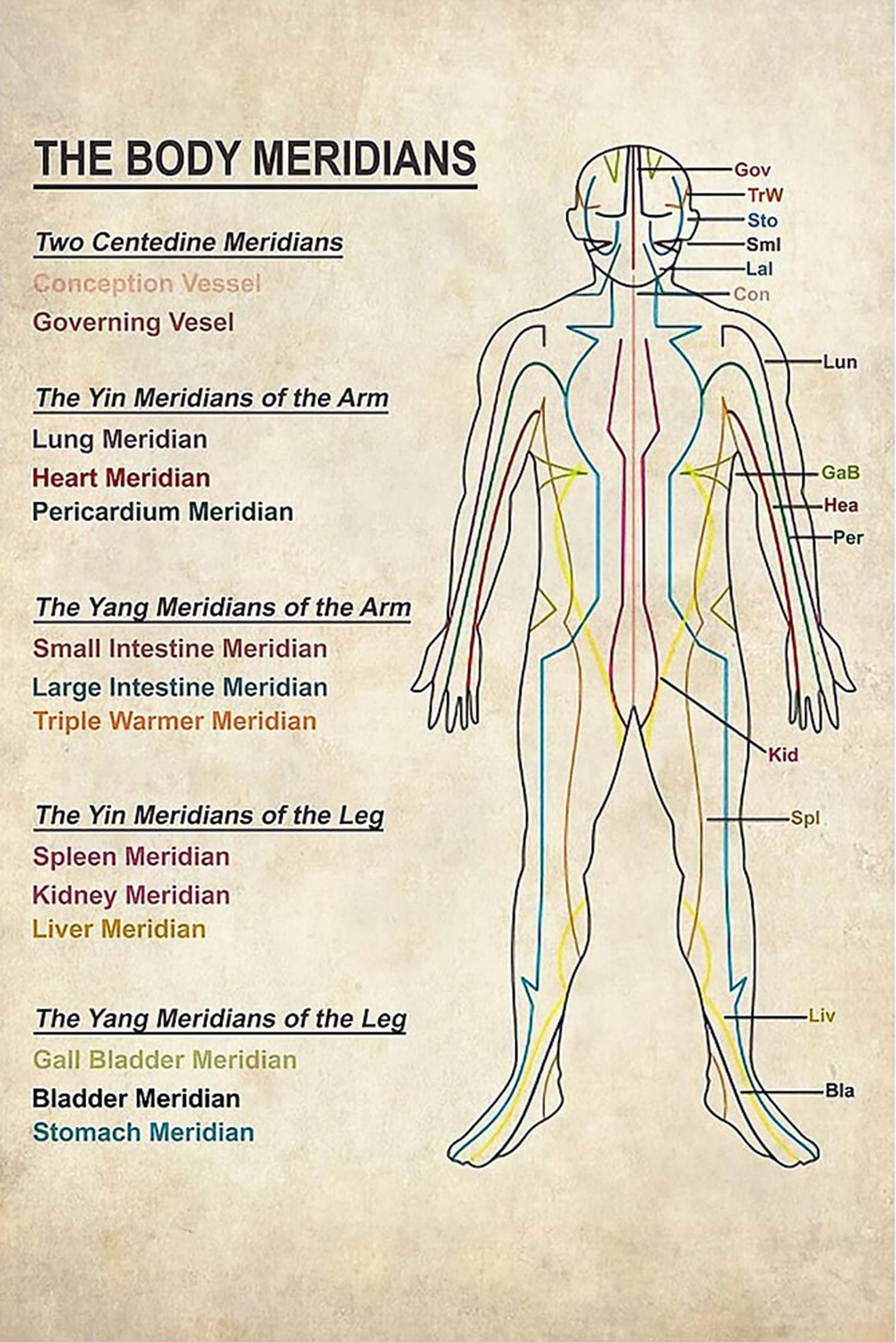 Niekea Vintage Metal Tin Sign Acupuncture The Body Meridians Poster, Vintage Poster Tin plaque 12x8 Inch