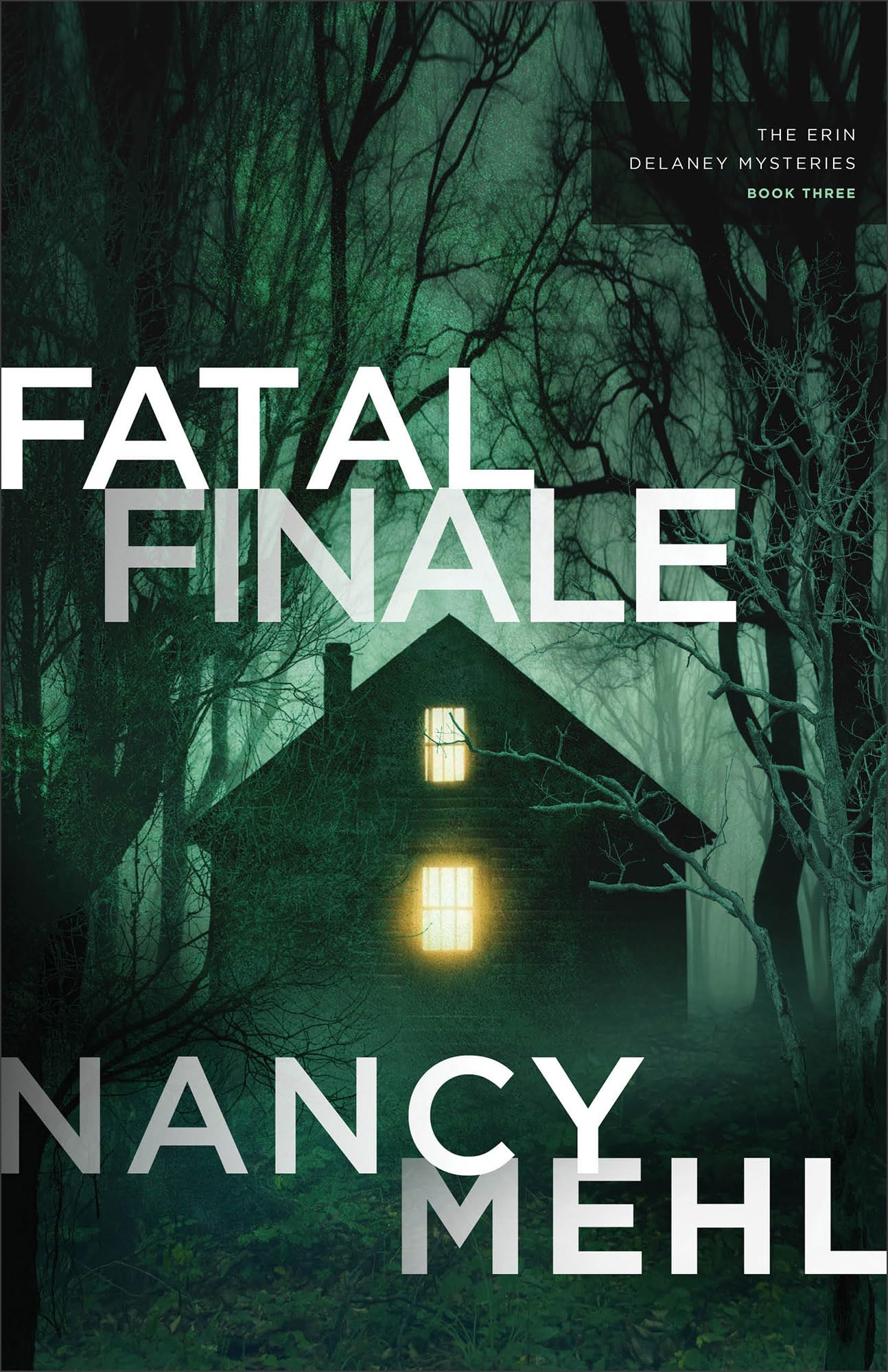 Fatal Finale: 3 (The Erin Delaney Mysteries)