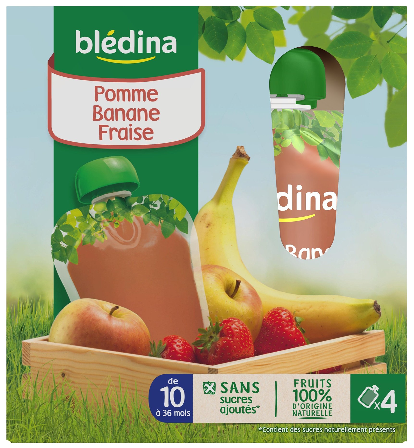 Blédina Gourdes Pomme Banane Fraise de 10 à 36 mois 4 x 90 g - Pack de 4