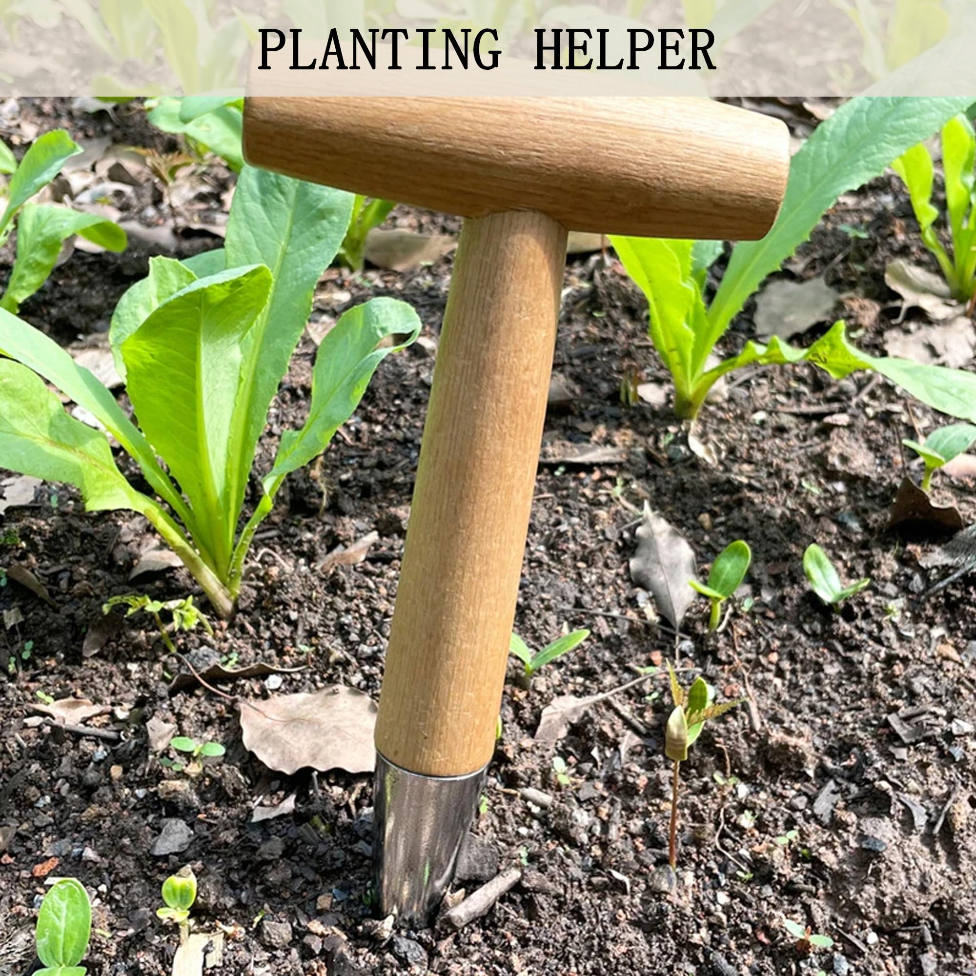 Plantoir à Bulbes Avec Mesure - Panemy, Outil Jardinage Pour Fleurs, Oignons, Semis