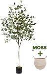 Warmplants Artificial Eucalyptus Tree, 6ft Tall Fake Eucalyptus Plant with Basket, Green Silver Dollars Silk Leaves Faux Tree for Home Office Livingroom Floor Decor Indoor