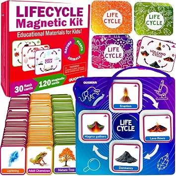 Life Cycle Toys for Kids Magnetic Flash Cards Science Kits for Kids 3-5 | 30 Toddler Flashcards Ages 2-4 Plant, Animals and Nature Learning Materials for Pre-K 120 Magnetic Cards for Preschool