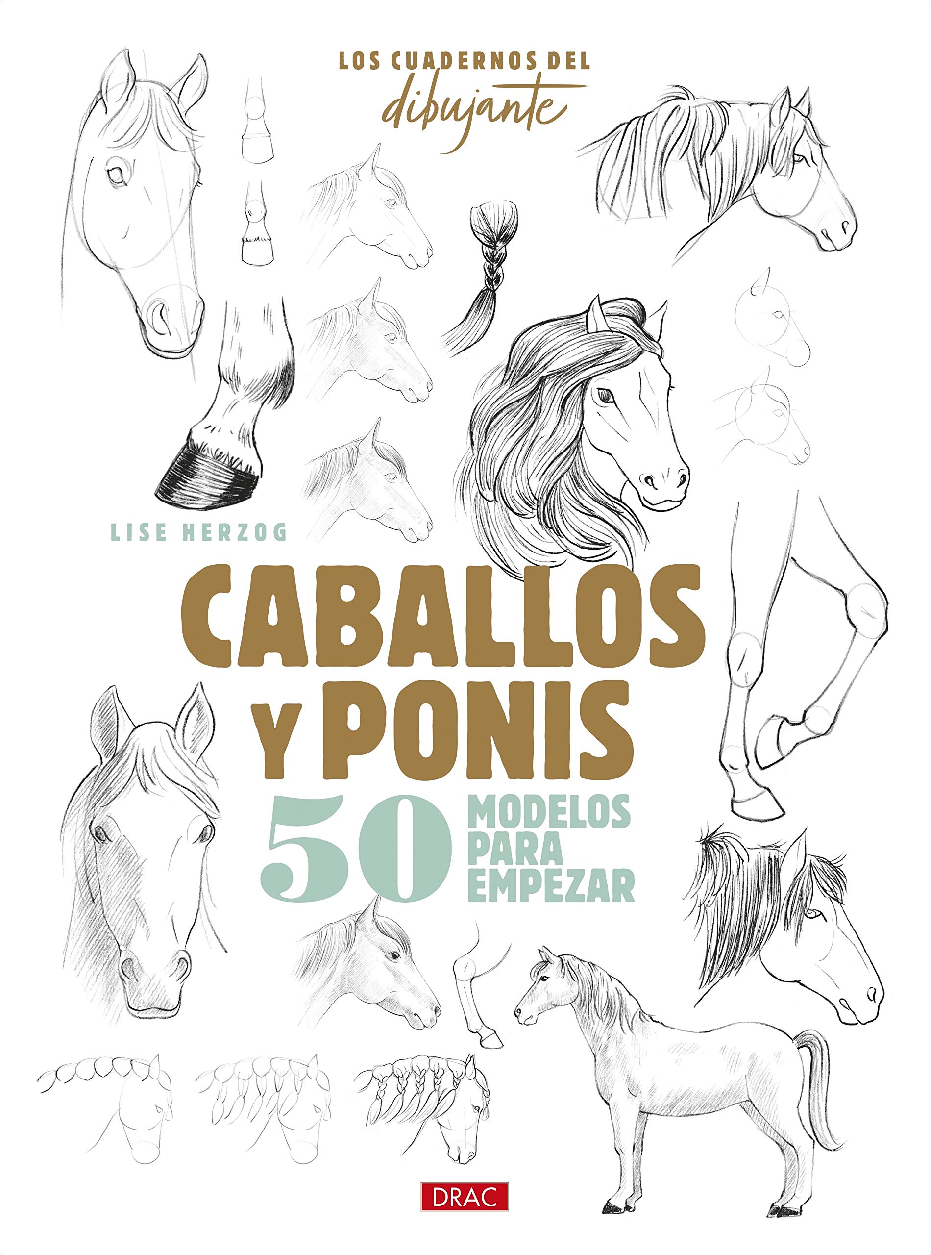 Los Cuadernos Del Dibujante. Caballos Y Ponis: 50 modelos para empezar (TENDENCIAS JUVENILES) Dibujar en 10 pasos caballos y ponis: cómo dibujar más de 50 caballos y ponis en solo 10 pasos: COMO DIBUJAR MAS DE 50 CABALLOS Y PONIS EN SOLO 10 PASOS