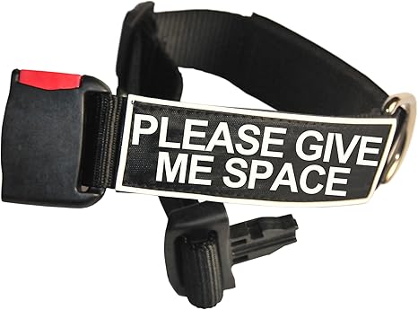 Dog collar with patches Clearance