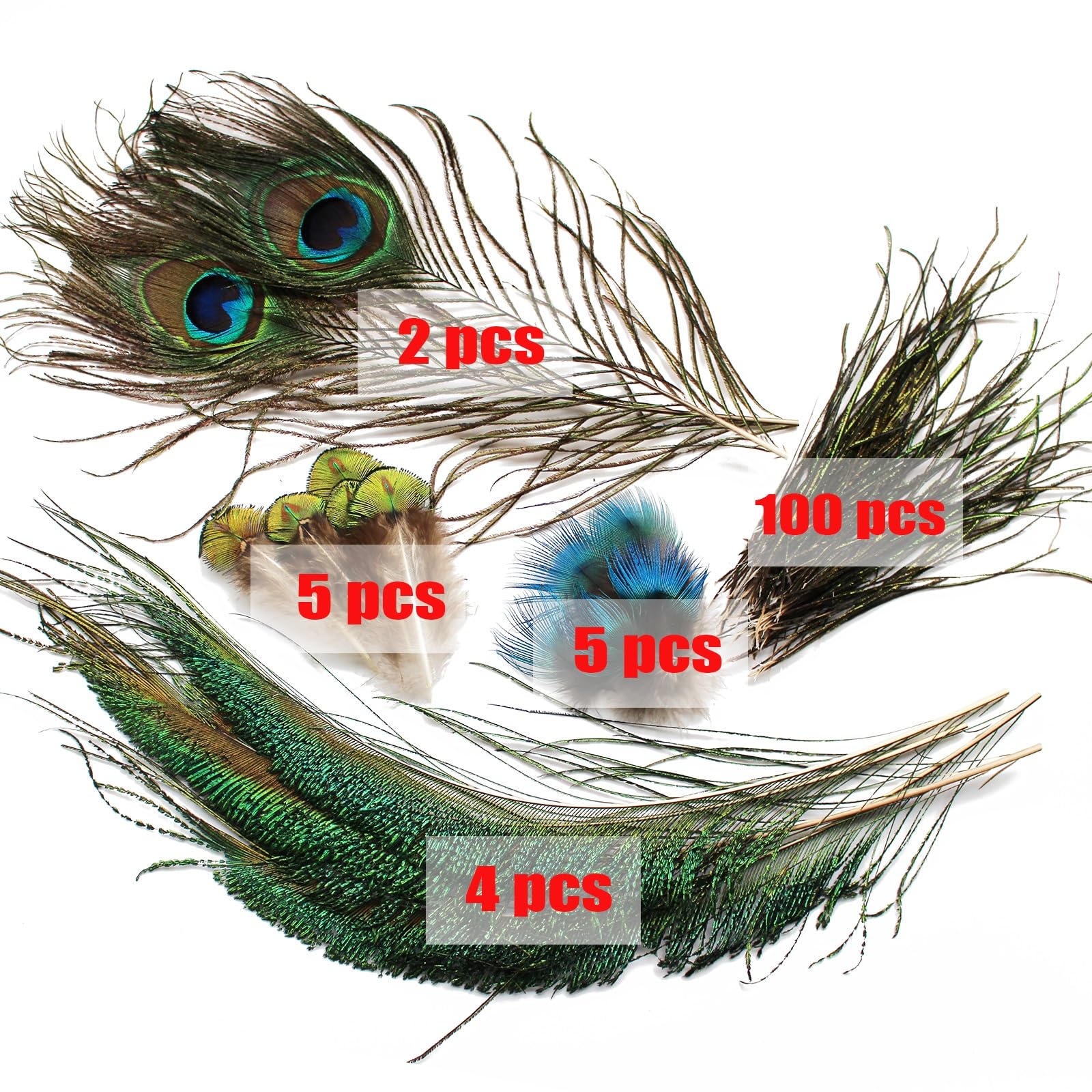 Tigofly Ensemble de plumes de paon pour nymphes mouches, mouches humides classiques