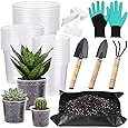 83 Pcs Garden Supplies Tools Kit, 3/4/5 Inch Clear Plastic Plant Pots with Transplanting Mat, Trowel Cultivator Rake Set, Label & Glove, Succulent Tools Gift for Plant Lovers Accessory