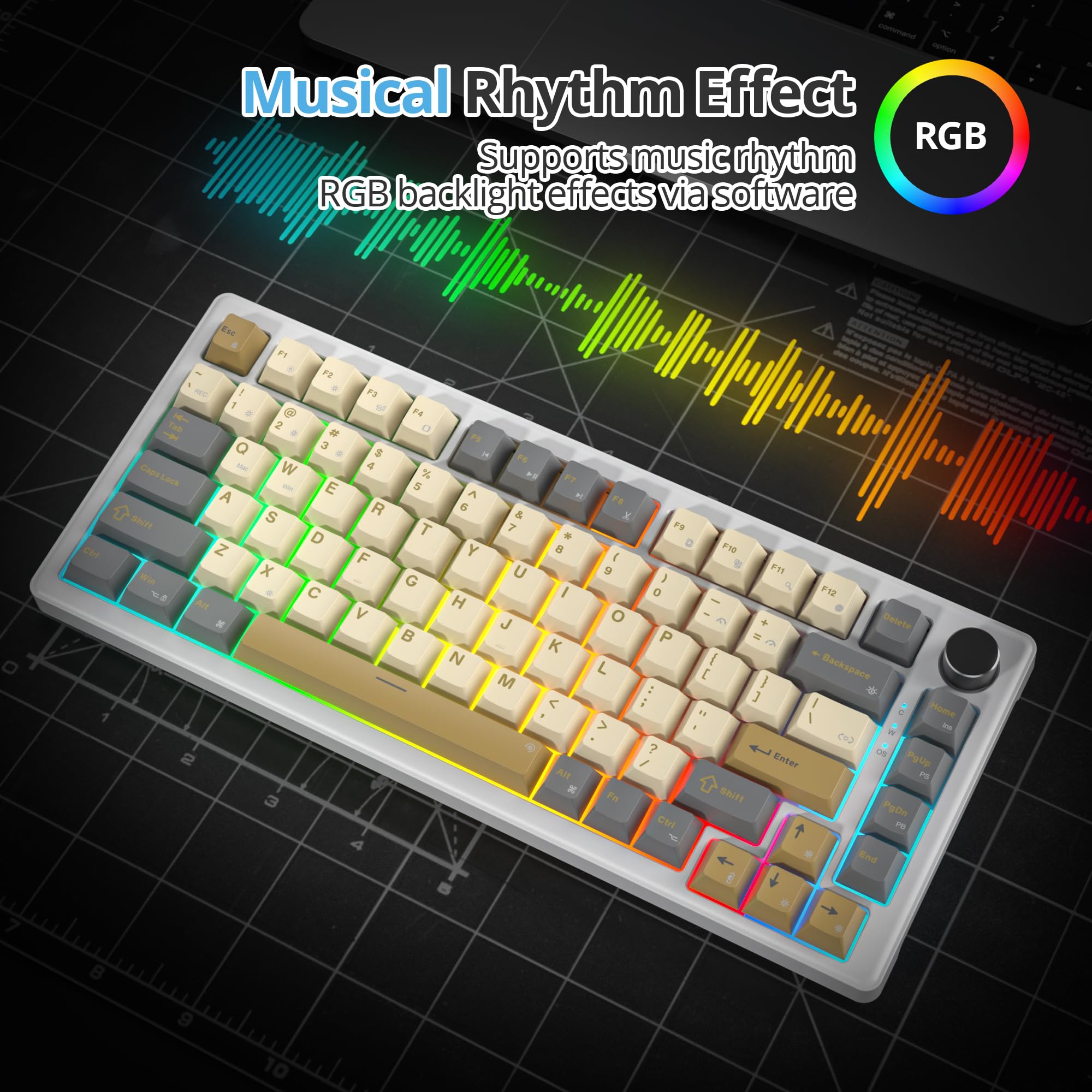 Tastiera Meccanica 75% TKL, Layout Americano QWERTY,Gasket Tastiera Gaming 75% con Filo, RGB Retroilluminata,Hot-swap,Interruttore Lineare