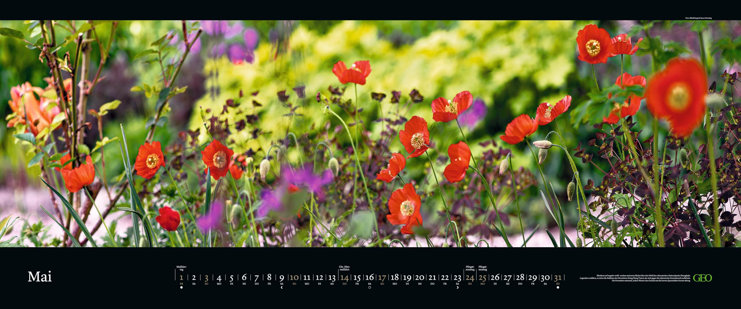 GEO - GEO Panorama: Die schönsten Gärten 2026 – XXL Wandkalender 120x50 cm, Panorama-Kalender mit Gartenfotografie, 12 Monatsblätter & Spiralbindung für Natur- und Gartenliebhaber
