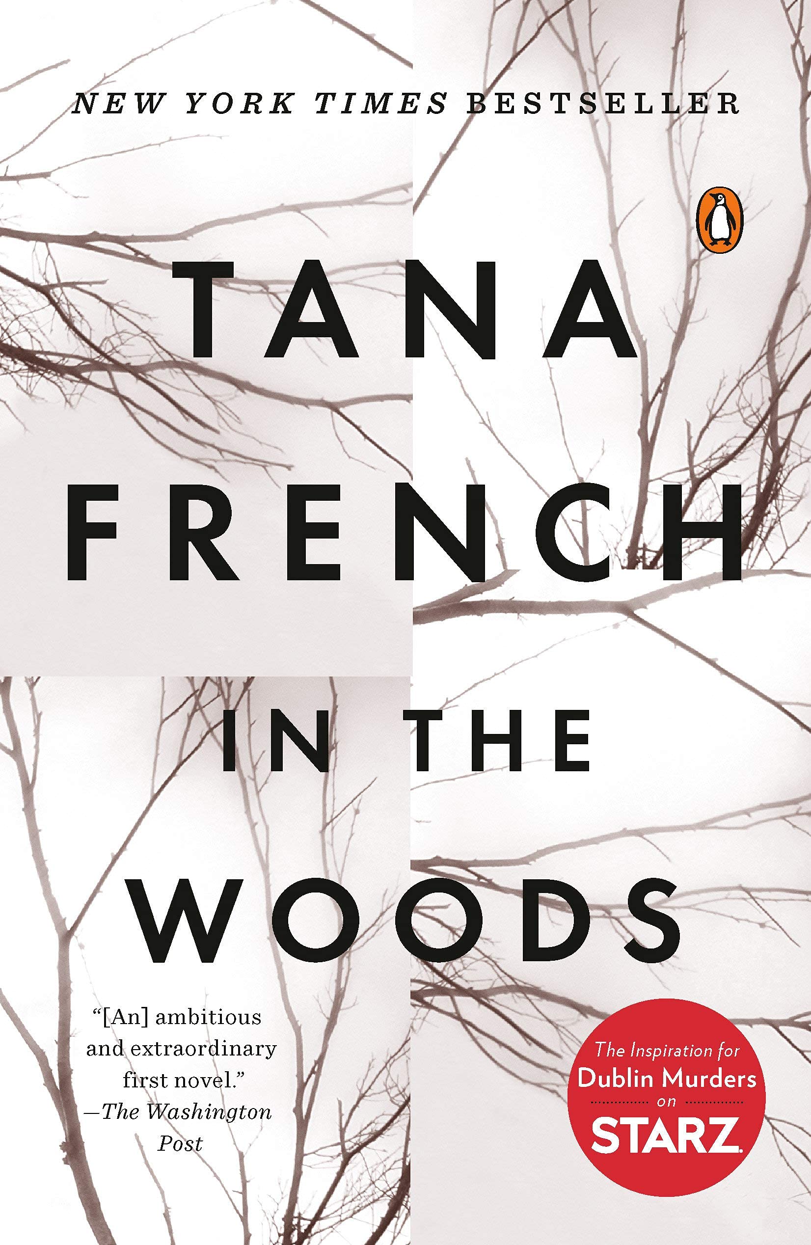 Dublin Murder Squad Serie Libri 1 - 6 Cofanetto da collezione di Tana French (In The Woods, The Likeness, Faithful Place, Broken Harbour, Secret Place e The Trespasser)