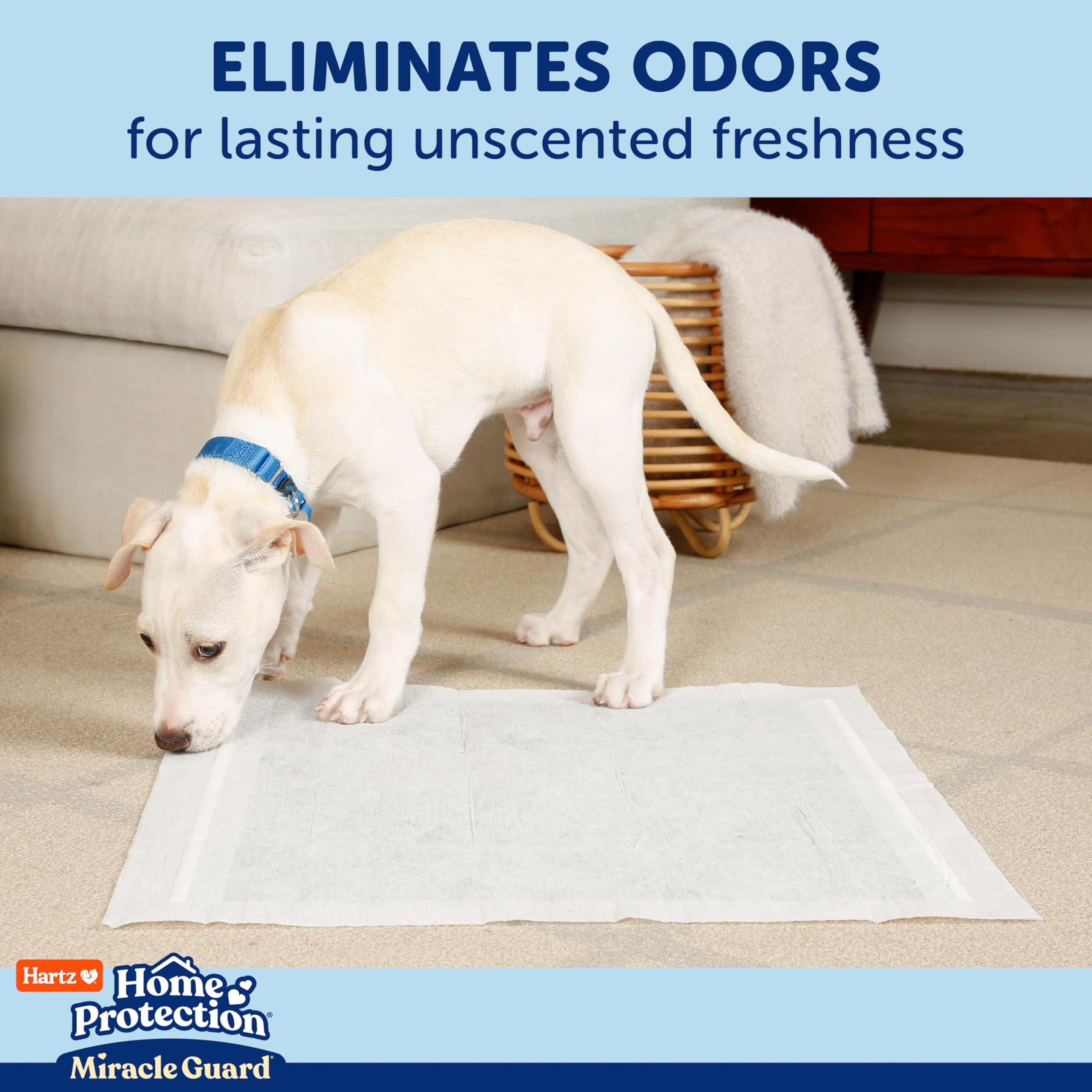 Hartz Home Protection Miracle Guard - Almohadillas para Perros, XXL, 20 Unidades, 3 Veces más absorción y 3 Veces más de Uso, no gotean ni eliminan olores
