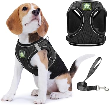 Step in Dog Harness with Leash Set, Adjustable Soft Padded and Breathable Mesh for Small Sized Dog, Reflective No Pull No Choke Cat Vest Harness, Easy Control Pet Vest, Black M
