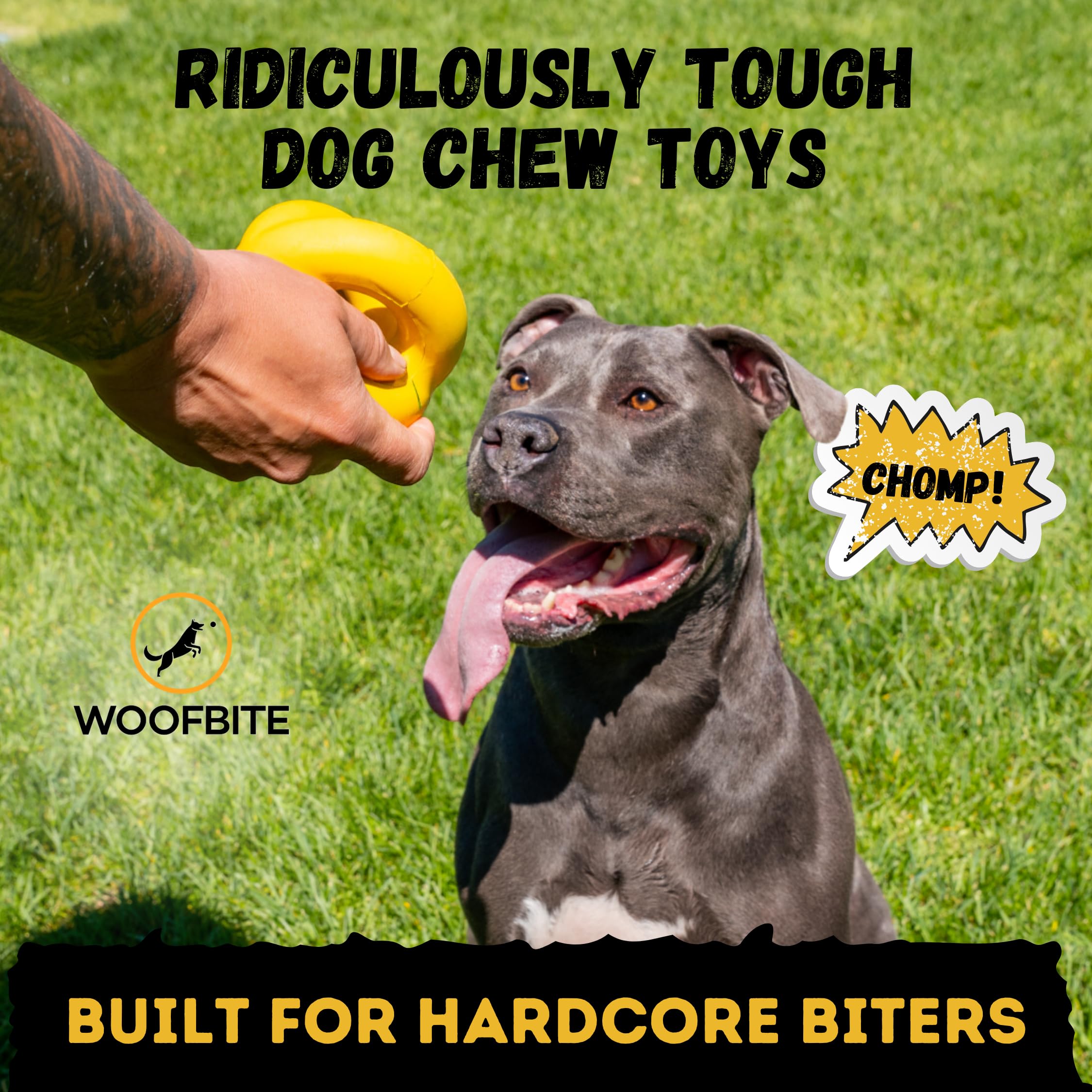 WoofBite Indestructible Ring Ball, Lifetime Replacement, Strong, Tough, Aggressive Chewers, Medium Large Breed - Image 2