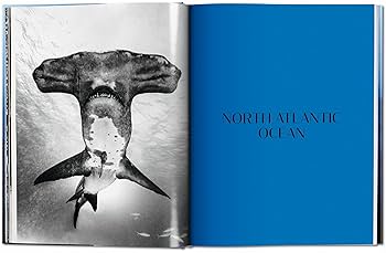 Amazon.com: Michael Muller. Sharks: 9783836553599: Nelson