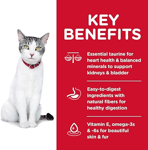 Miniatura 5 de Hills Science Diet Alimento seco para gatos adultos mayores de 11 años para gatos mayores receta de pollo White