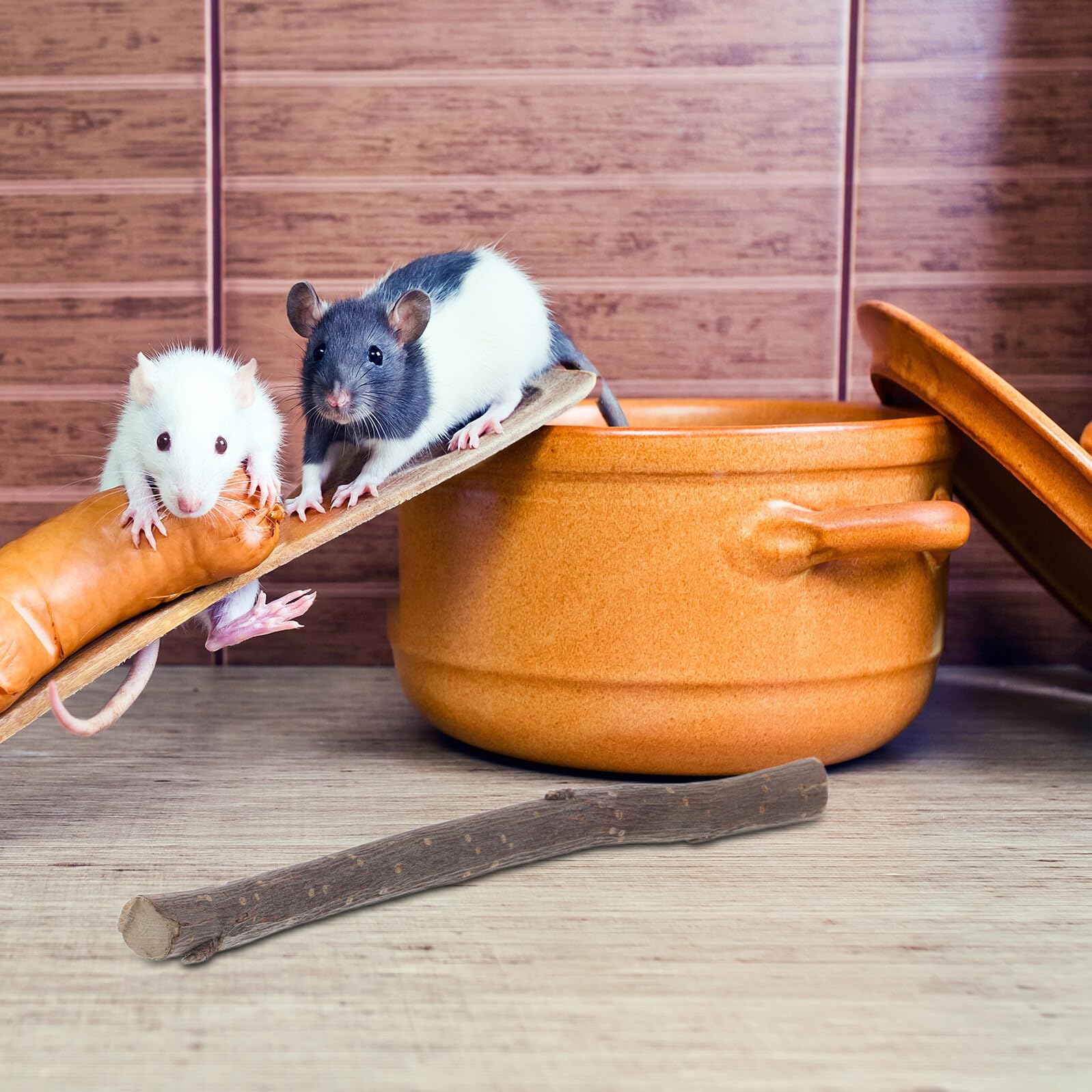 Gatuida Natürliche Holz Kaustangen für Kleintiere 1500g zum Sicheren Zähneknirschen und Zahnpflege Beißring für Hamster und Kaninchen als Gesundes Kau Spielzeug