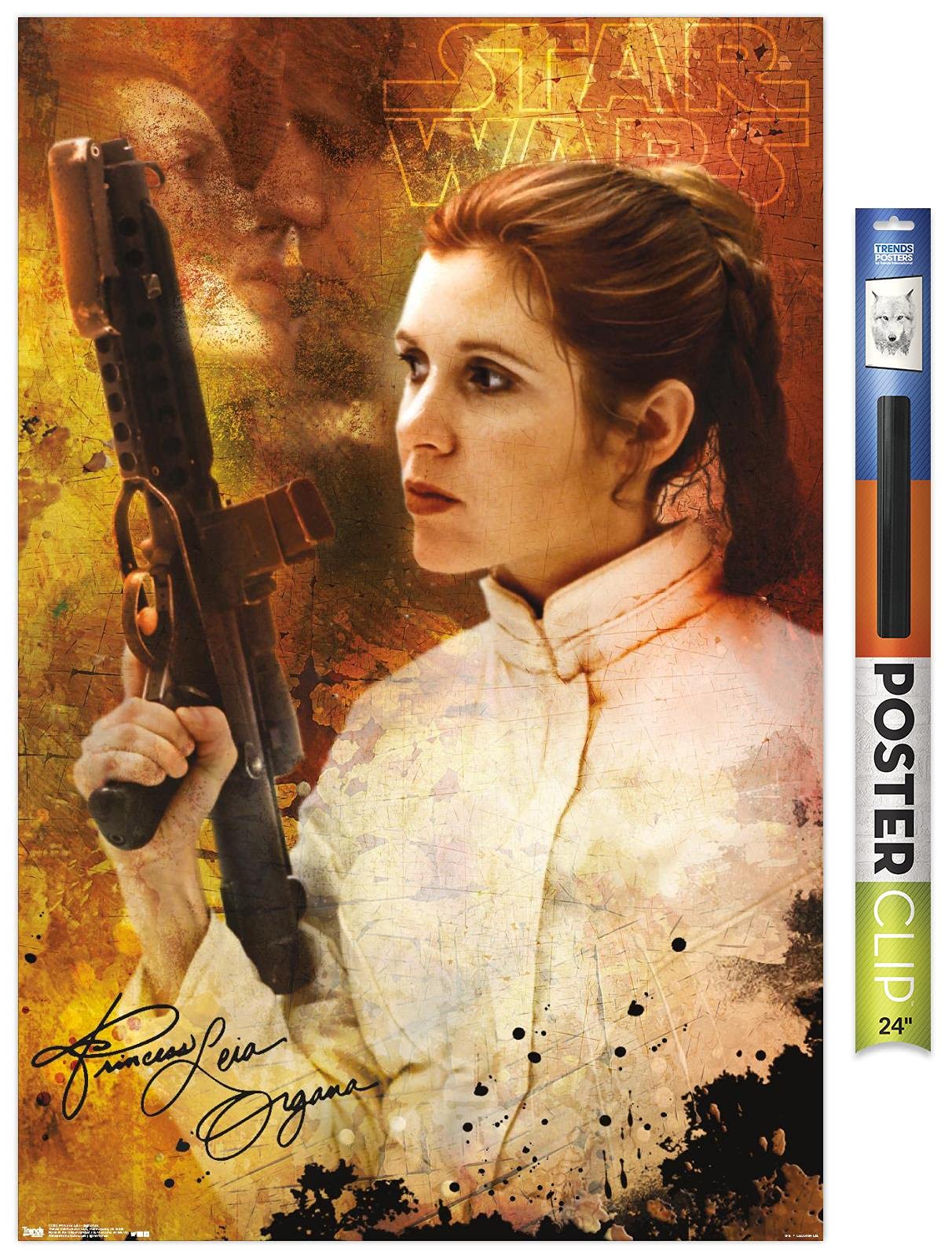 Amazon.co.jp: Trends International スターウォーズ:佐賀 - レイア姫