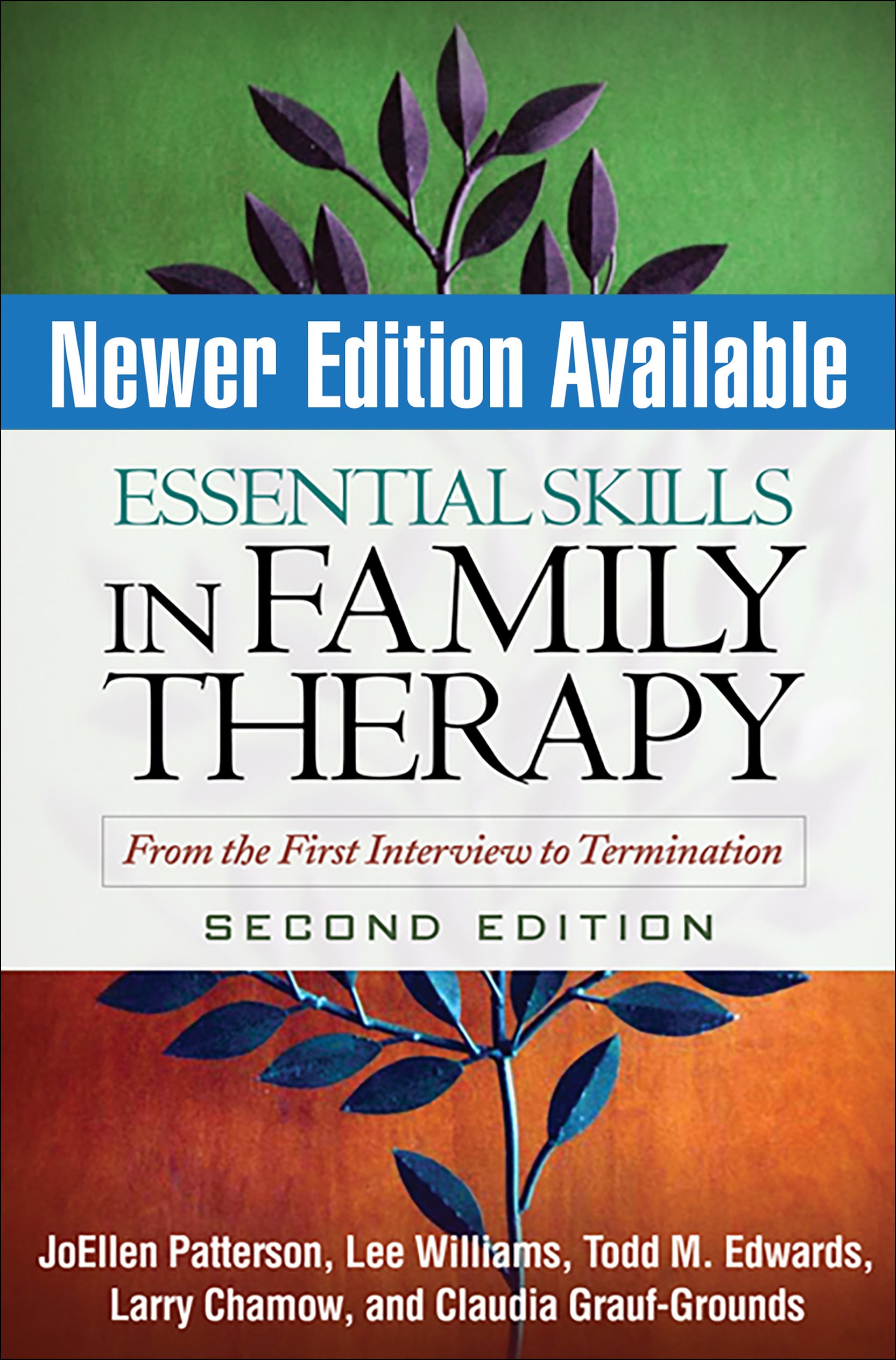 Buy Essential Skills in Family Therapy: From the First Interview to Termination (The Guilford Family Therapy Series) — BookShops.in