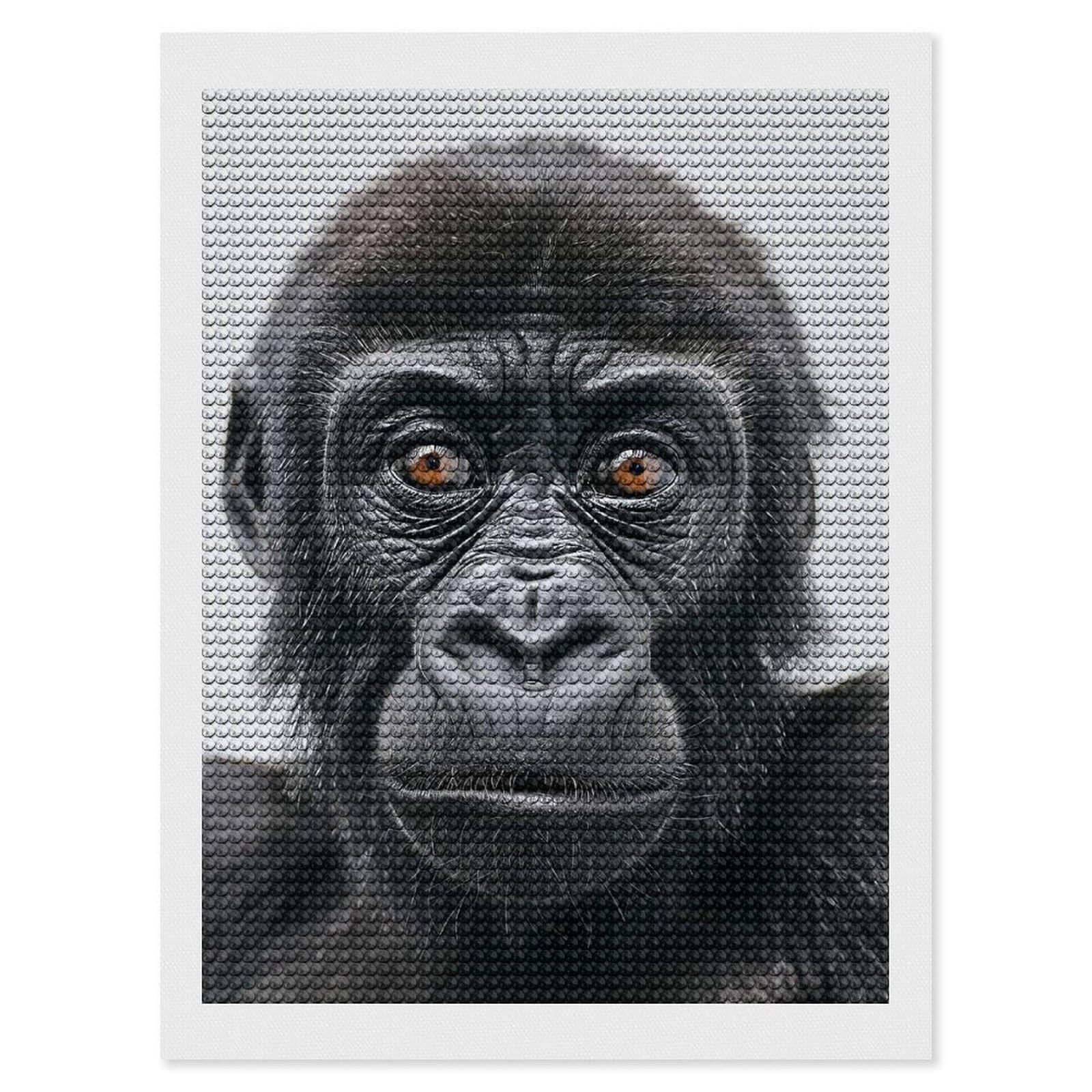 Junmoney Gorilla Face Round Drill Diamond Painting 12"x16", Satisfying Creative Project, Complete Accessories, Printed Canvas