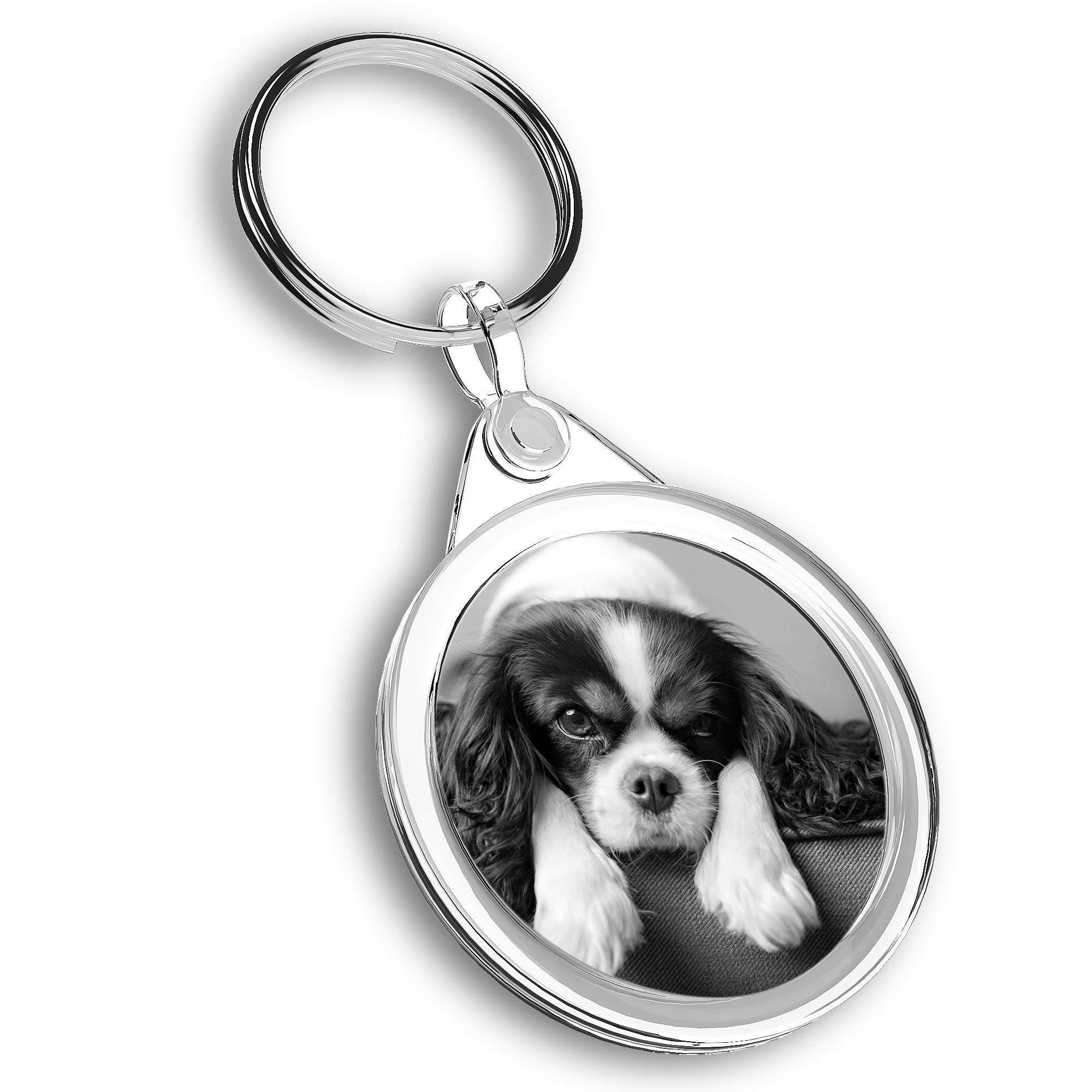 Destination Vinyl Ltd Unisex Multi 1 X Photo Keyring - Cavalier King Charles Spaniel Dog |Keychain|Keyring|Charm| #35148