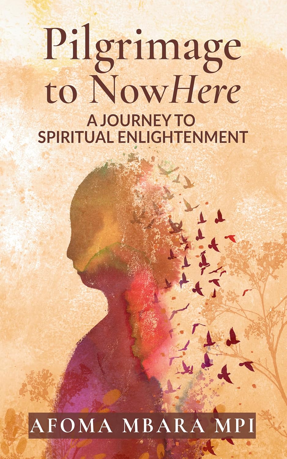 Pilgrimage to NowHere: A Journey to Spiritual Enlightenment      Kindle Edition