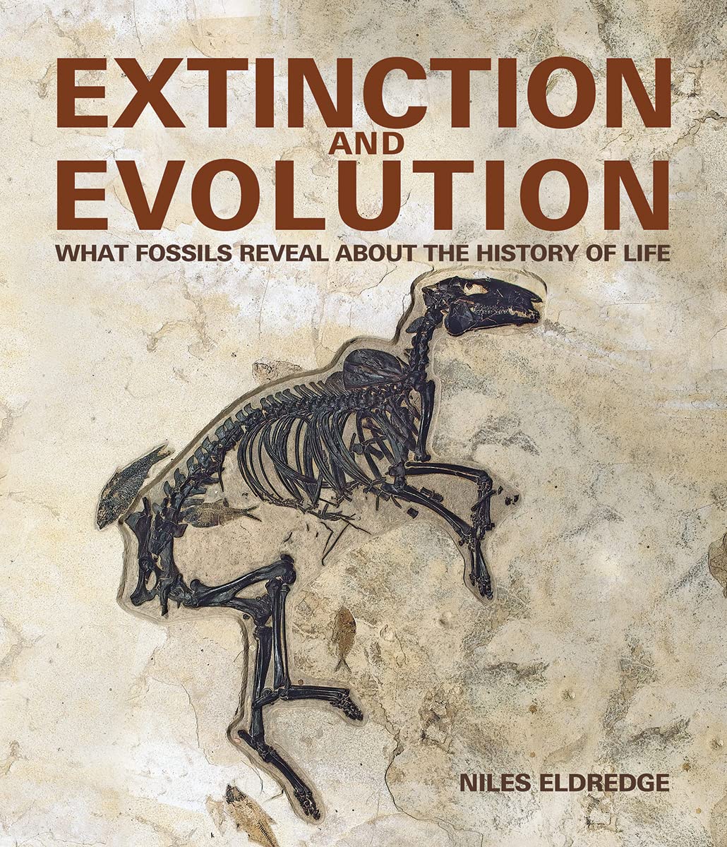 Buy Extinction and Evolution What Fossils Reveal about the History of