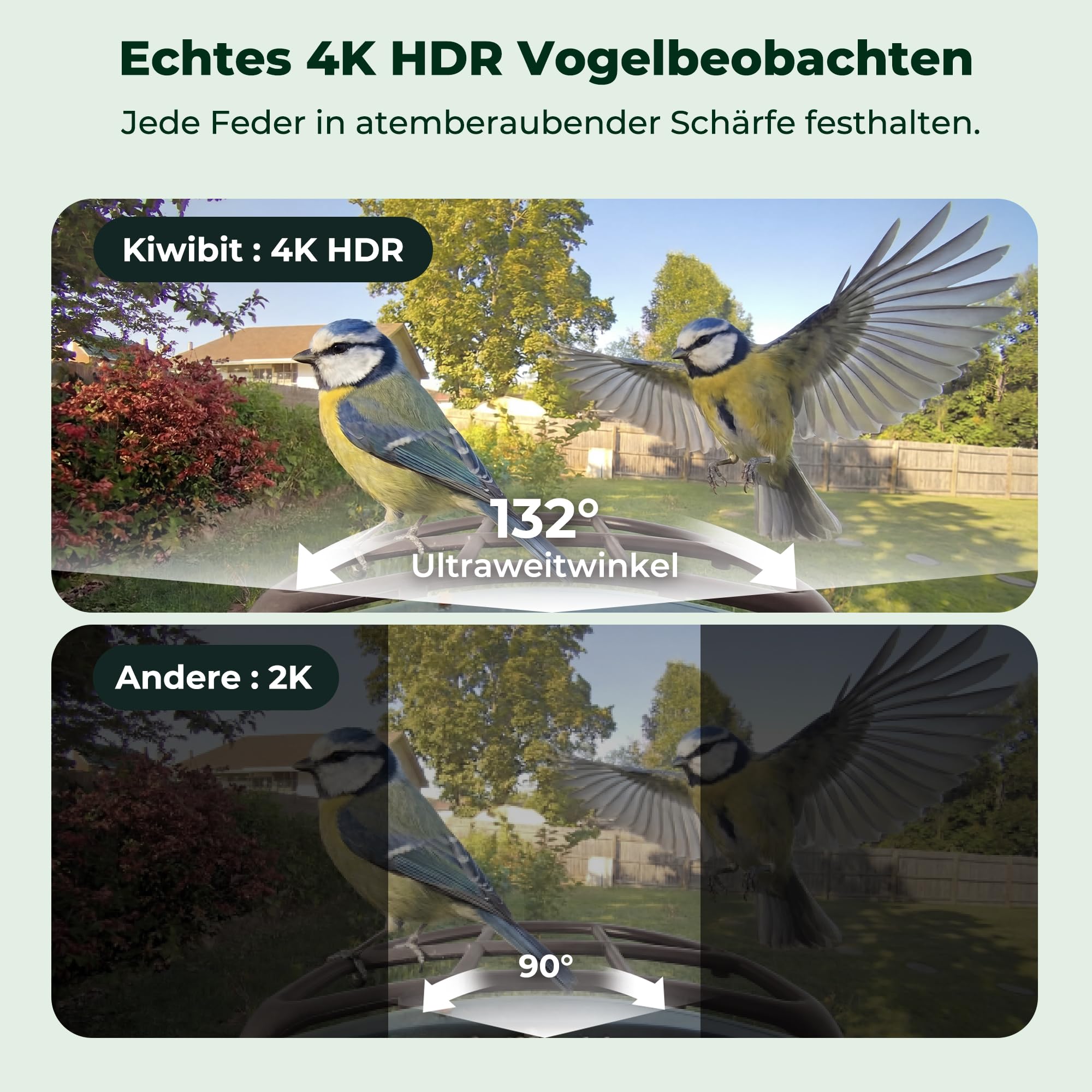 Kiwibit Smart Vogelhaus, 4K Kamera, KI-Erkennung ohne ABO, Mit Solarpanel | Live-Ansicht, KI-Vogelerkennung ohne Abo, Echtzeit-Alarm, 8MP Fotos und Nachtsicht