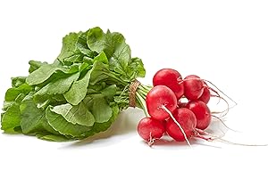 Certified Organic Red Radishes | Local, Fresh-Picked, Perfect for Salads & Snacks