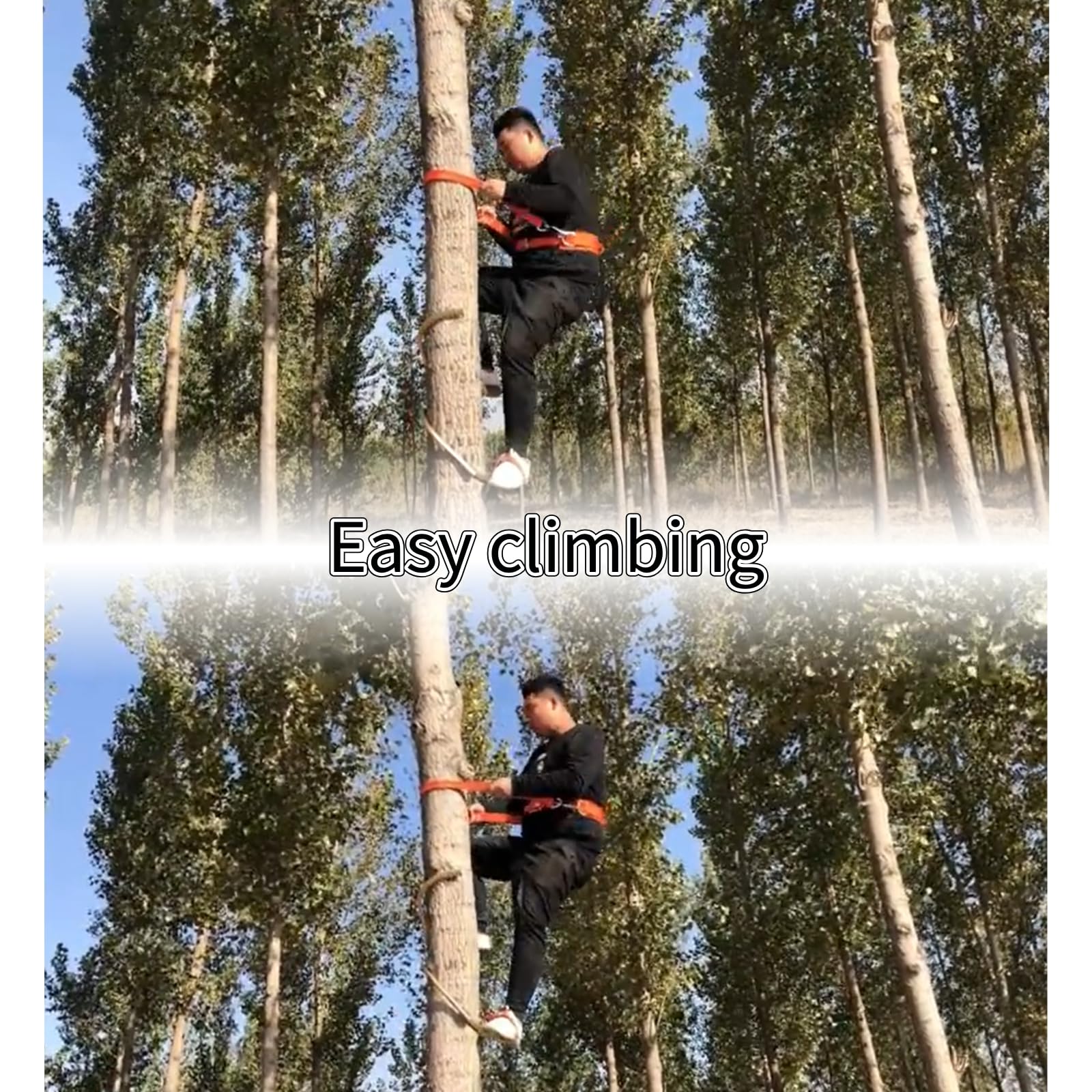 Set di ramponi per arrampicata sugli alberi, attrezzi specializzati per l'arrampicata sugli alberi, attrezzatura antiscivolo regolabile, per la raccolta di noci di cocco e frutta