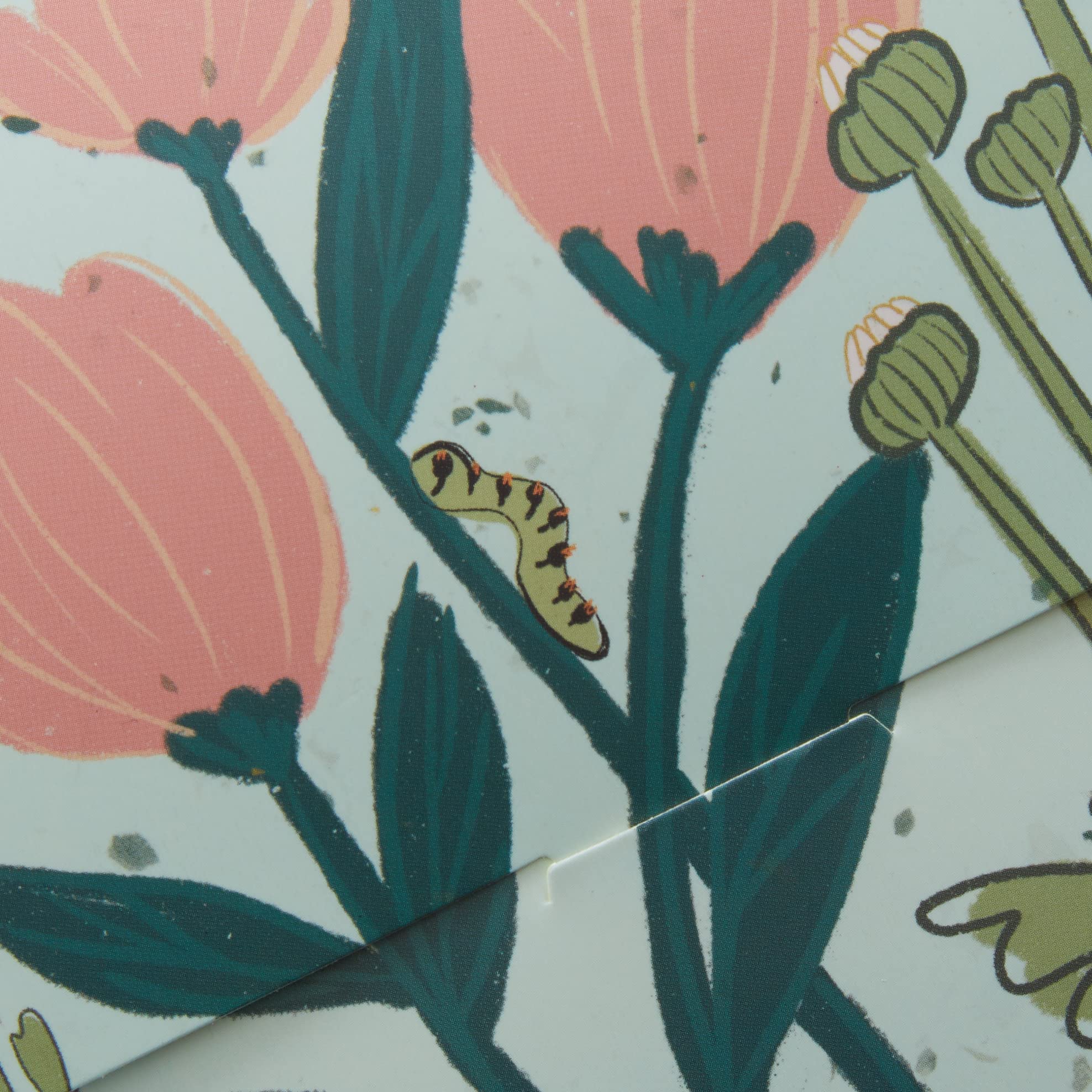 Amazon.com Gift Card in a Reveal (Various Designs): 0 2022 Floral Reveal
