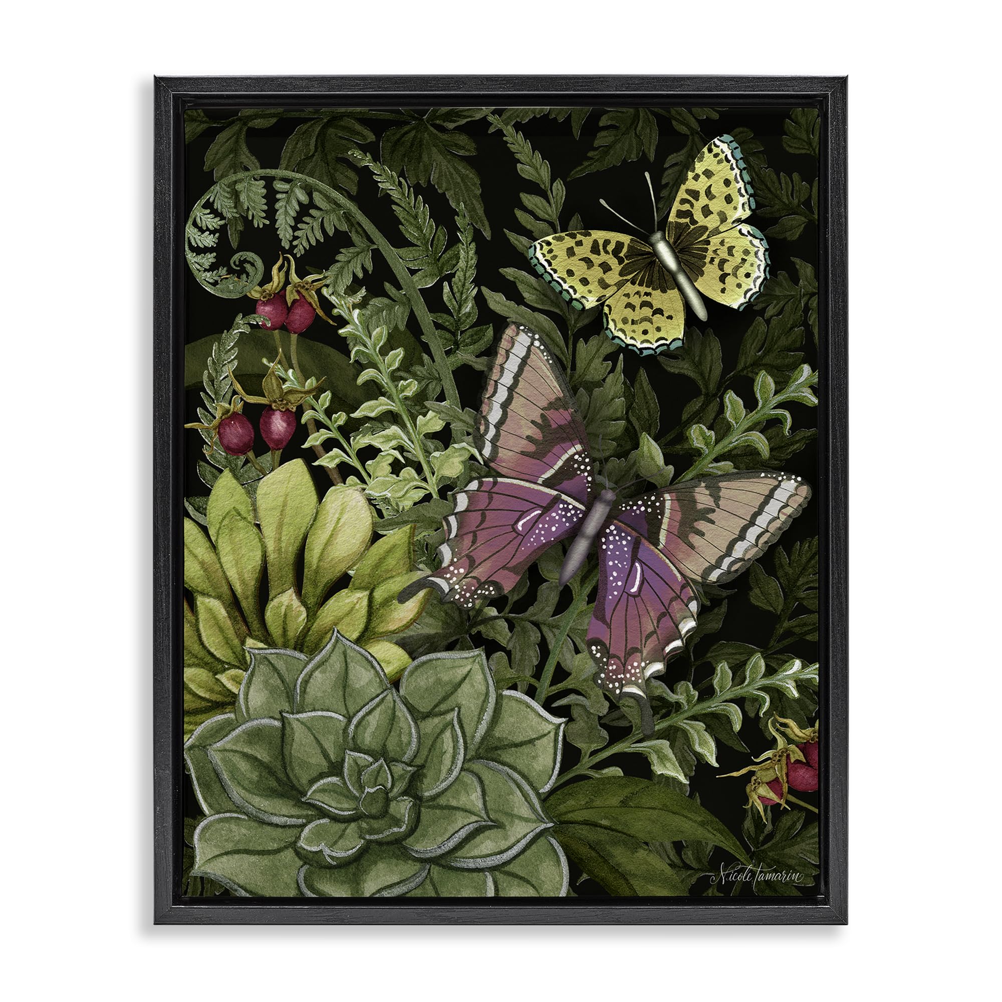 Stupell Industries Midnight Garden Butterflies_v1 'Dark Succulents Midnight Garden', Floating Frame Canvas Art, Black, 17 X 21 Inches, Easy To Hang And Sturdy, Made In Usa, By Nicole Tamarin