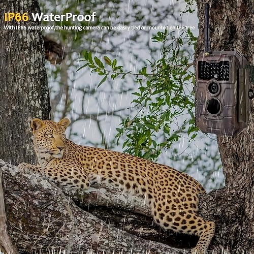 Miniatura 7 de Paquete de 2 cámaras Wifi Trail Wireless Game Hunting Cam 24MP Foto y 1296P H.264 Video con visión nocturna Activado por movimiento IP66 impermeable