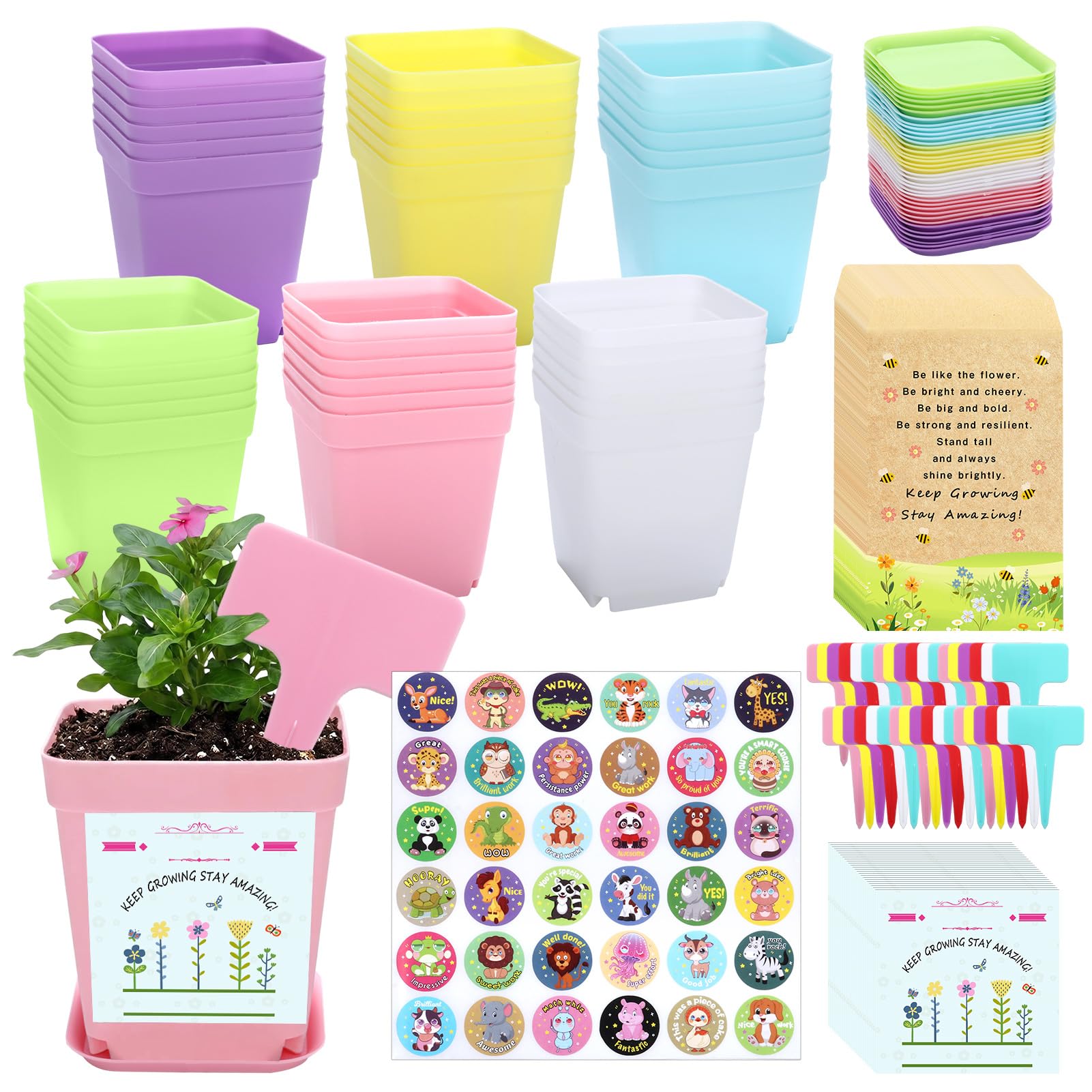 Joyesplay 36 Pack Gifts for Students from Teachers,Flower Pots and Envelopes School Leavers Gifts End of Year Term Gift for Year 6 Students