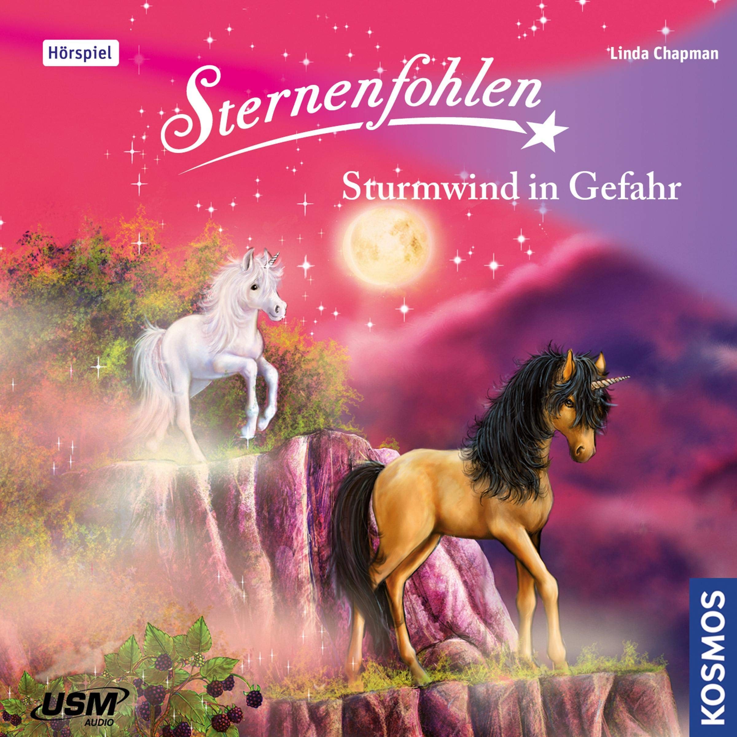 Cover art for Sturmwind in Gefahr