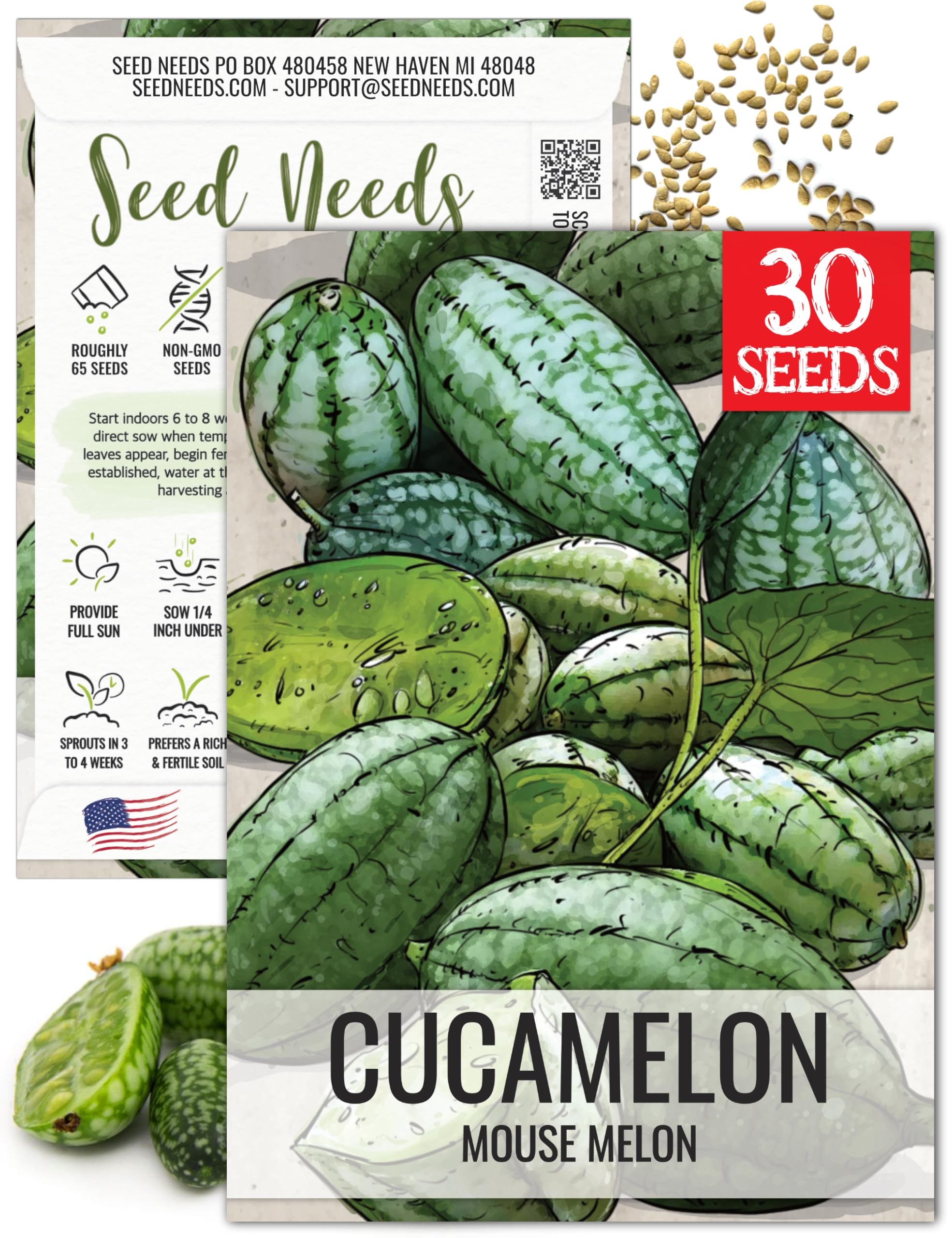 Seed Needs Cucamelon Seeds for Planting Mexican Sour Gherkin Miniature Mouse Melons - Non-GMO Heirloom & Untreated - Grow a Home Grown Indoor Outdoor Vegetable Garden (1 Pack)