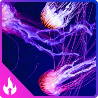 Jellyfish Aquarium ambience : Beautiful Aquarium ocean Color fish | HD 4K Videos Screensaver for Relaxing Meditation, Relax, Reduce Stress, Study, Focus, Deep Sleep | Fire TV & Tablets - NO ADS