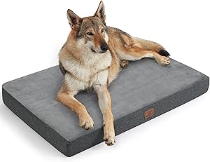 Allarme letto per cani thumbnail classifica