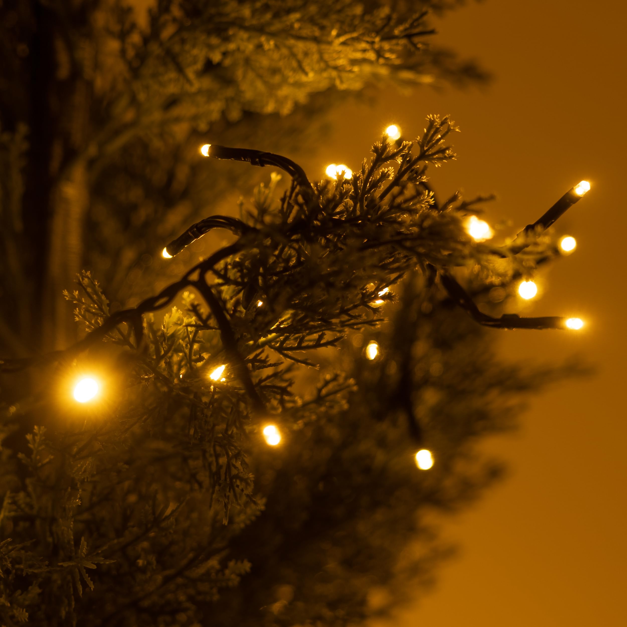Luccika, Cluster-Lichterkette, Gold, 20 Meter, 1000 LEDs, Ø 3 mm, Lichterkette für Weihnachtsbaum, 4 Lichteffekte, Fernbedienung, Timer, grünes Kabel IP44, Verwendung im Innen- und Außenbereich