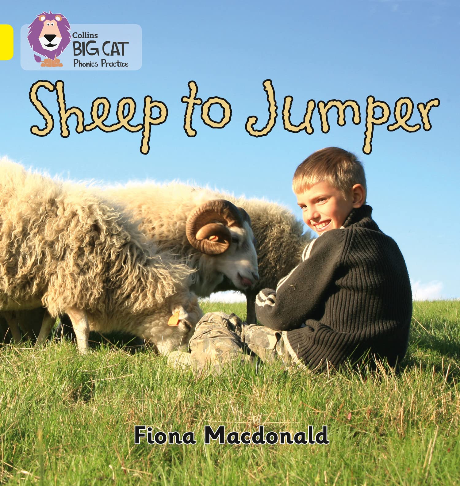 Sheep to Jumper: Band 03/Yellow (Collins Big Cat Phonics),Fiona