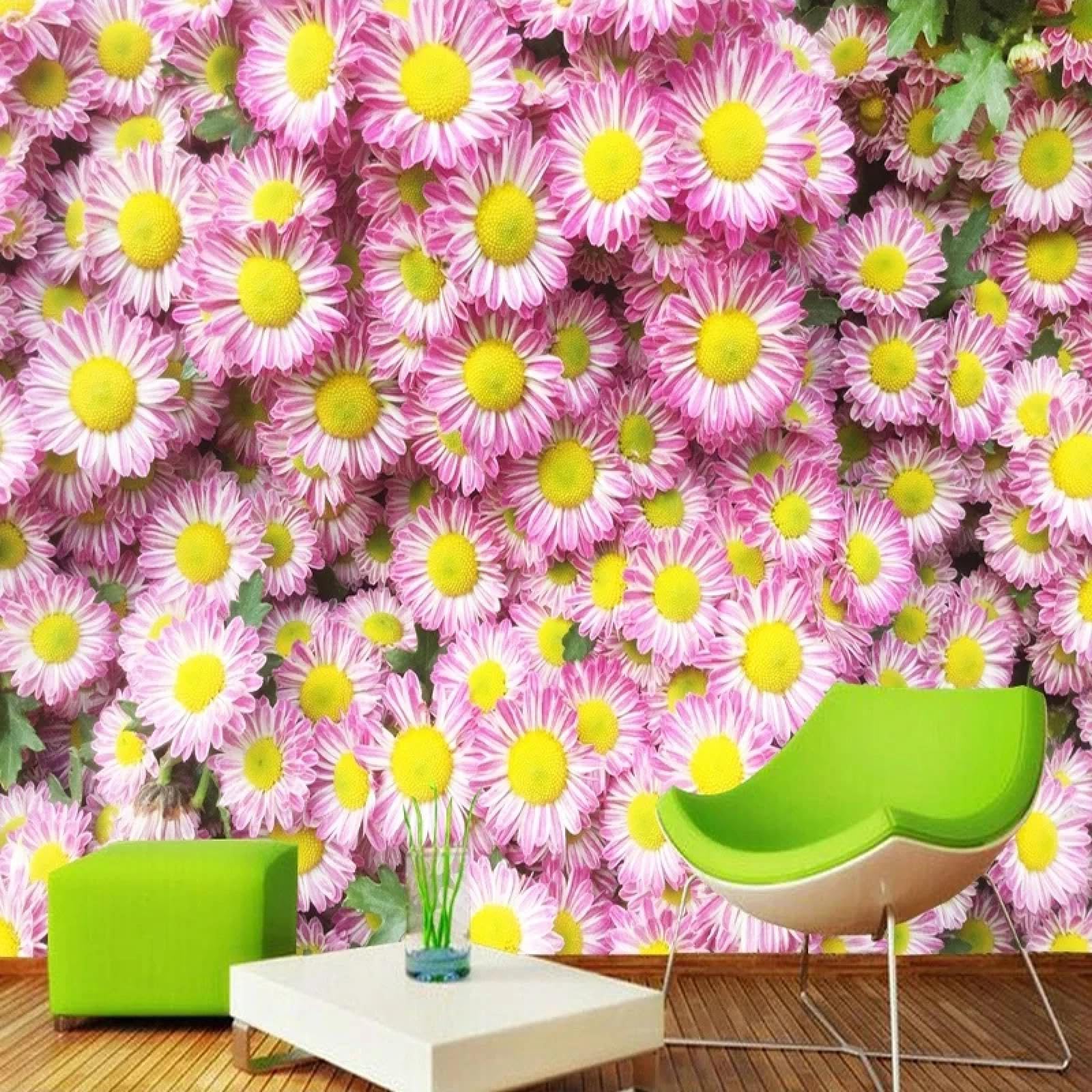 Photo murale 3D marguerite blanche et rose pour un fond romantique