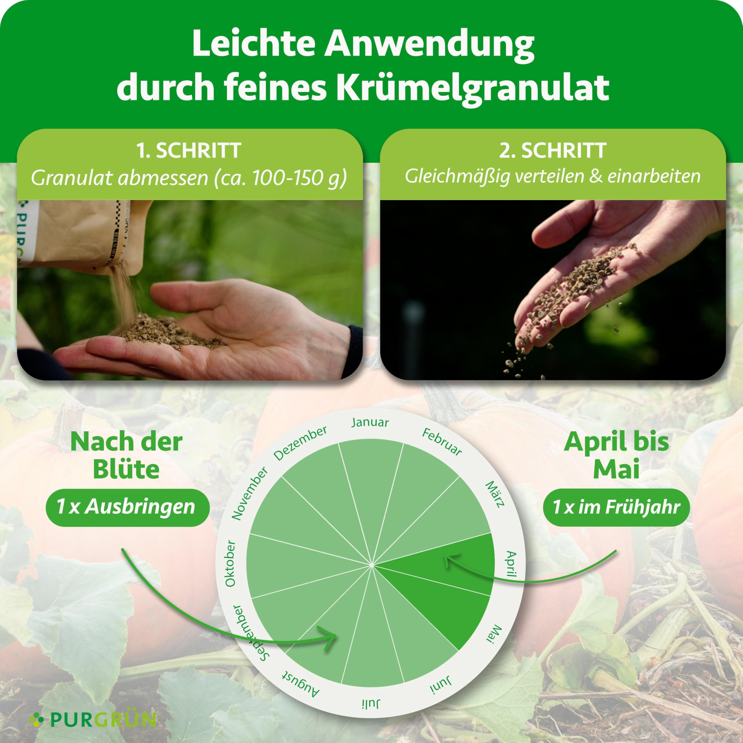 Bio-Kürbis-Dünger 1 kg – Organisch-mineralische Rezeptur – Feinkörniges Krümelgranulat – NPK 6+3+8 – Mit Magnesium für gesunde Pflanzen & prächtige Kürbisse – Verbessert die Bodenqualität