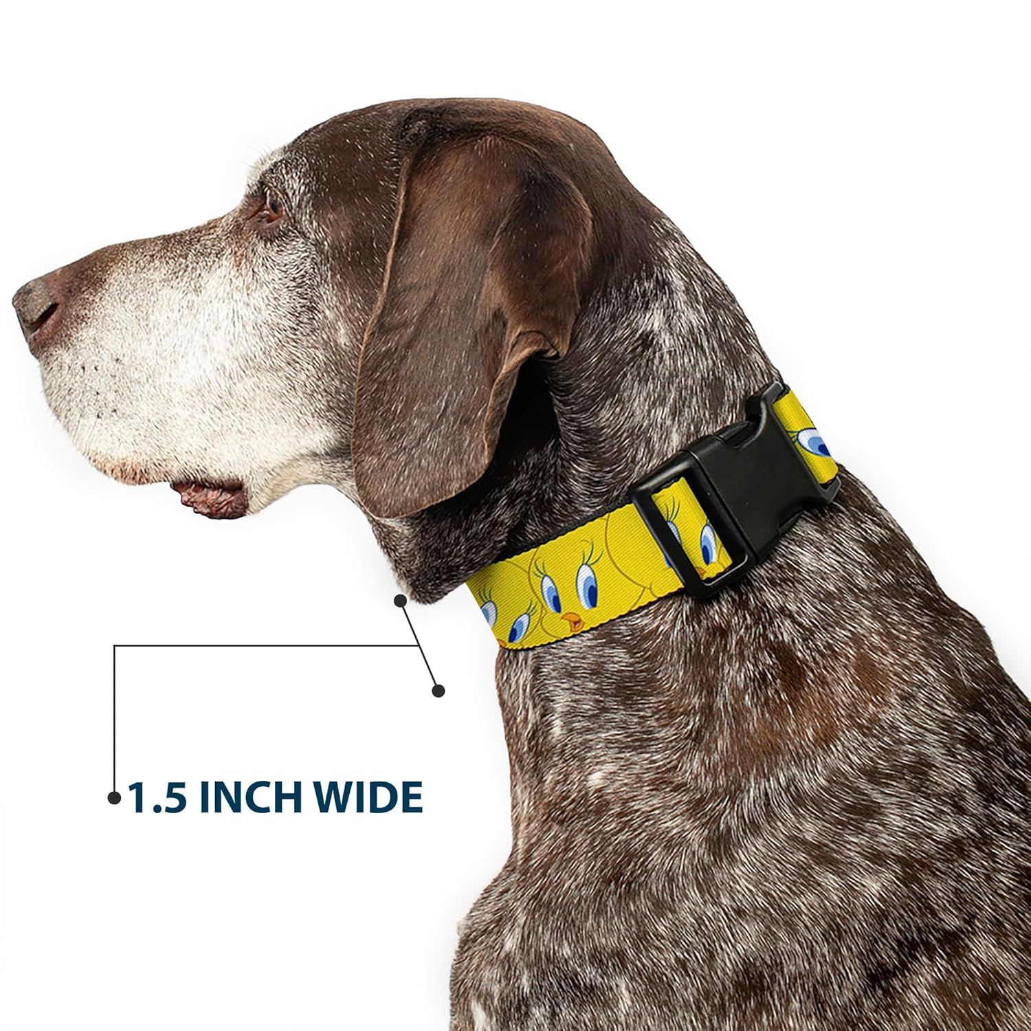 Buckle-Down Plastic Clip Collar - Tweety Bird Expressions Yellow - 1.5" Wide - Fits 13-18" Neck - Small