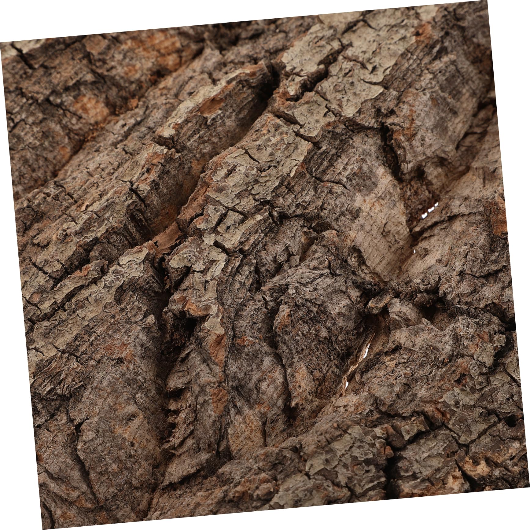Decoración Natural De Corteza De Alcornoque para Terrarios y Acuarios De Reptiles Instalación Fácil y Ligera Atractivo Visual para Dragones Barbudos Geckos y Hábitats De