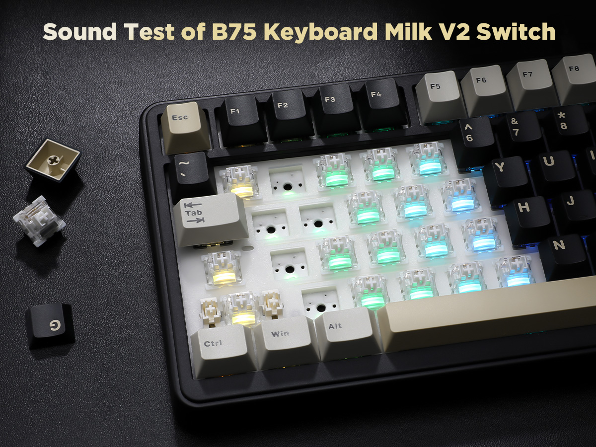 Amazon | YUNZII B75 75% 有線 メカニカルキーボード ホットスワップ