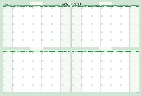 PlanetSafe Calendars - Calendario de pared horizontal de 120 días, planificador de pared borrable en seco y húmedo de 4 meses, calendario mensual