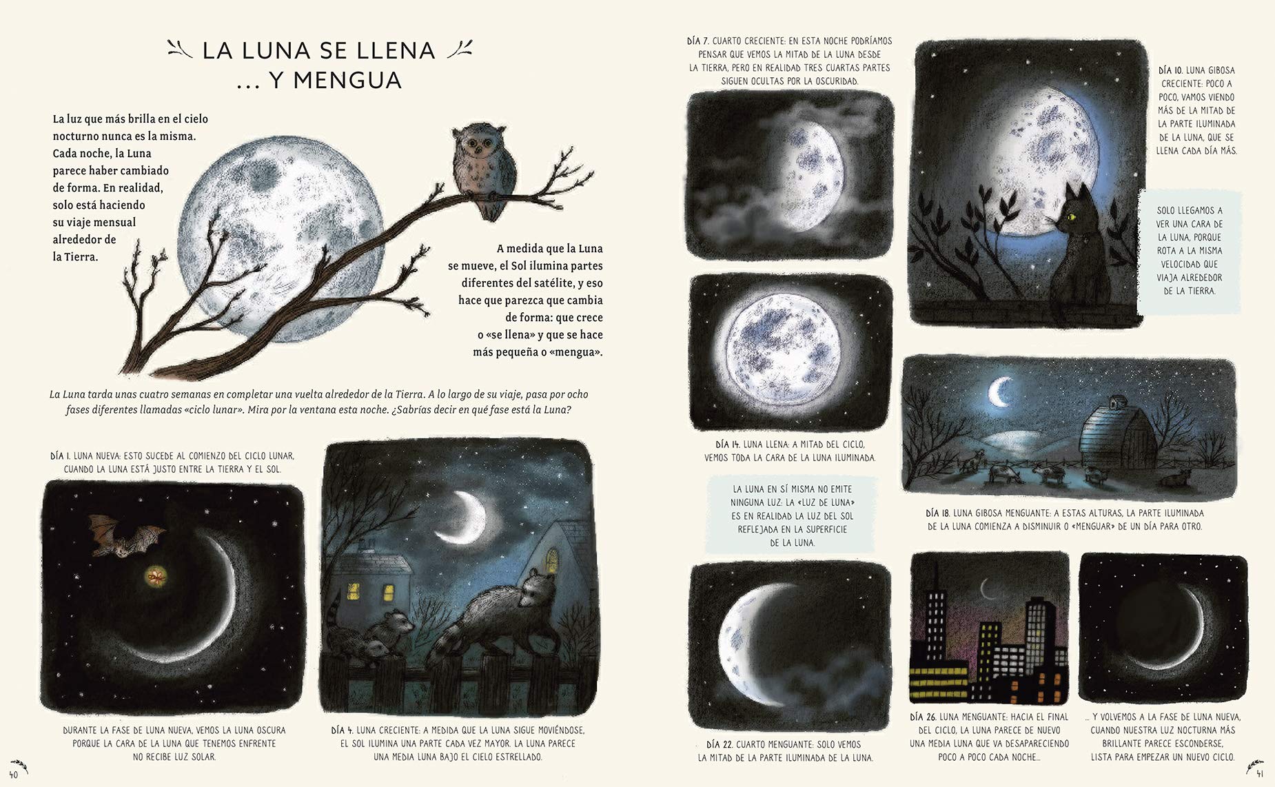 con calma. 50 Historias De La Naturaleza (SIN COLECCION)