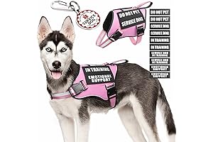 Customized Emotional Support Dog Vest Harness